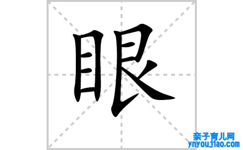 眼的笔顺笔画怎么写（眼的笔画、拼音、表明及成语详解）