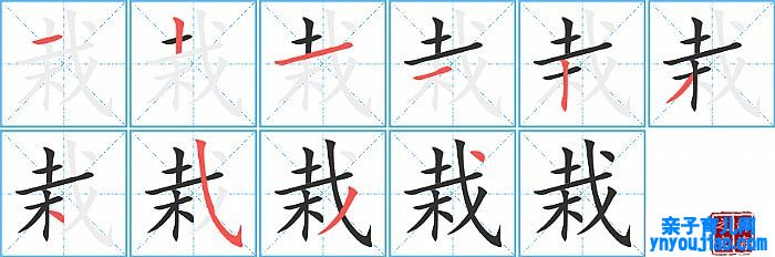 栽的笔顺、笔画