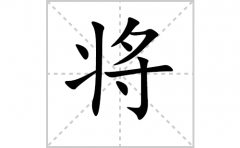 将的笔顺笔画怎么写-解读汉字将的笔画、拼音及成语组词