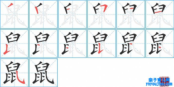 鼠的笔顺、笔画