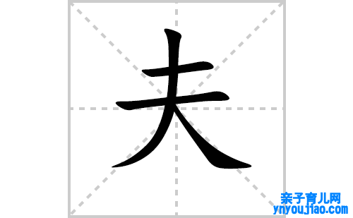 夫的笔顺笔画怎么写（夫的笔画、拼音、表明及成语详解）