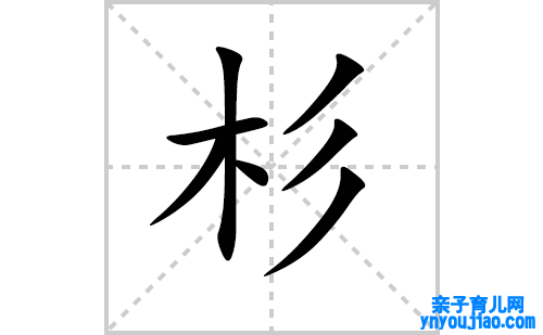 杉的笔顺笔画怎么写（杉的笔画、拼音、表明及成语详解）