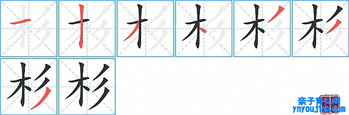 杉的笔顺、笔画