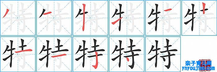 特的笔顺、笔画