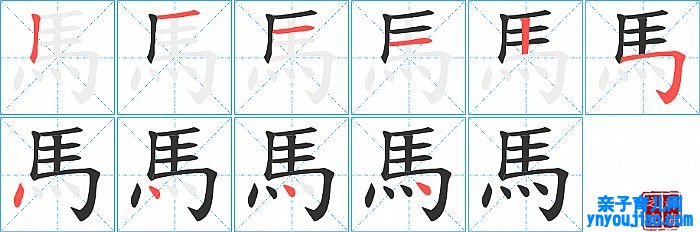 馬的笔顺、笔画