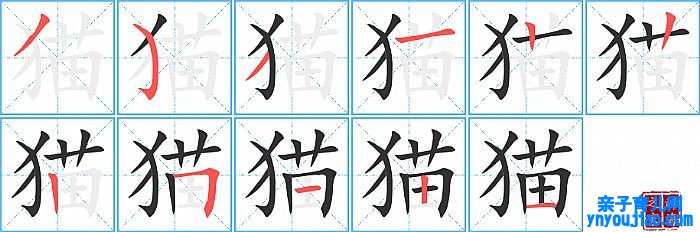 猫的笔顺、笔画