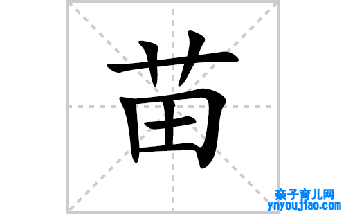 苗的笔顺笔画怎么写（苗的笔画、拼音、表明及成语详解）