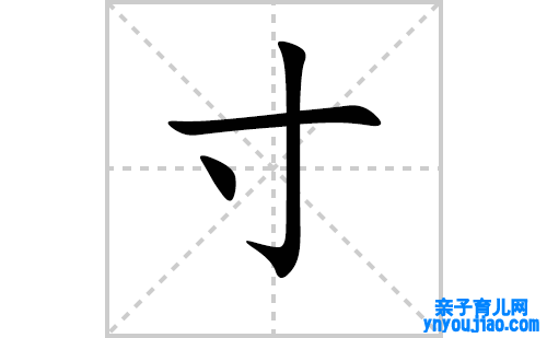 寸的笔顺笔画怎么写（寸的笔画、拼音、表明及成语详解）