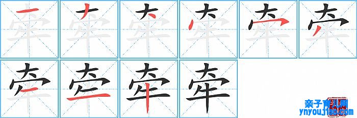 牵的笔顺、笔画