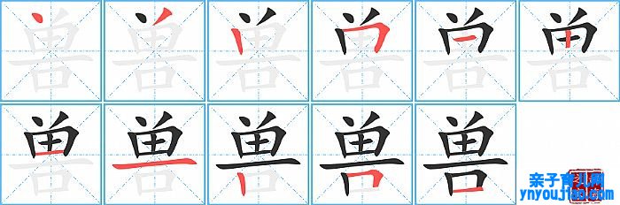 兽的笔顺、笔画