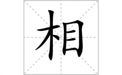 相的笔顺笔画怎么写-解读汉字相的笔画、拼音及成语组词