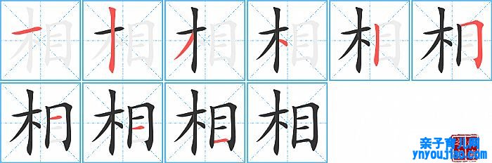 相的笔顺、笔画