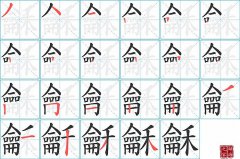 龢的笔顺笔画怎么写-解读汉字龢的笔画、拼音及成语组词