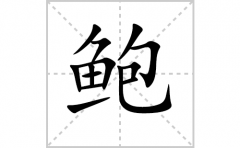 鲍的笔顺笔画怎么写-解读汉字鲍的笔画、拼音及成语组词