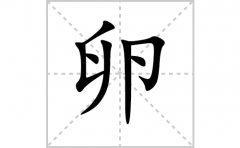 卵的笔顺笔画怎么写-解读汉字卵的笔画、拼音及成语组词