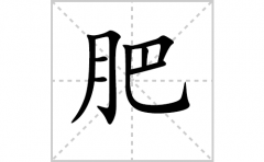 肥的笔顺笔画怎么写？汉字肥的拼音、部首词语组词