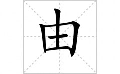 由的笔顺笔画怎么写？汉字由的拼音、部首词语组词