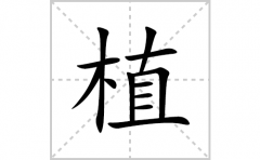 植的笔顺笔画怎么写？汉字植的拼音、部首词语组词