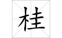 桂的笔顺笔画怎么写？汉字桂的拼音、部首词语组词