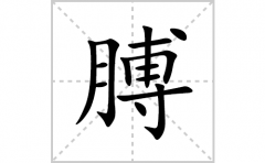 膊的笔顺笔画怎么写？汉字膊的拼音、部首词语组词