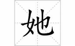 她的笔顺笔画怎么写？汉字她的拼音、部首词语组词