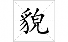 貌的笔顺笔画怎么写？汉字貌的拼音、部首词语组词