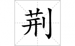 荆的笔顺笔画怎么写？汉字荆的拼音、部首词语组词