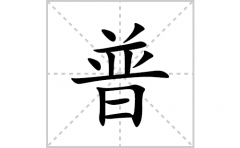 普的笔顺笔画怎么写？汉字普的拼音、部首词语组词