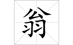 翁的笔顺笔画怎么写？汉字翁的拼音、部首词语组词