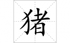 猪的笔顺笔画怎么写？汉字猪的拼音、部首词语组词