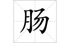 肠的笔顺笔画怎么写？汉字肠的拼音、部首词语组词