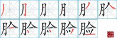 脸的笔顺笔画怎么写？汉字脸的拼音、部首词语组词