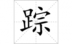 踪的笔顺笔画怎么写？汉字踪的拼音、部首词语组词