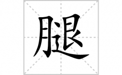 腿的笔顺笔画怎么写？汉字腿的拼音、部首词语组词