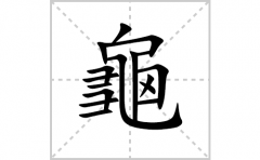 龜的笔顺笔画怎么写？汉字龜的拼音、部首词语组词