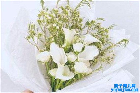 生日送什么花？适合生日送的十种鲜花花