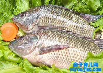 鲱鱼的营养功能及食用要领