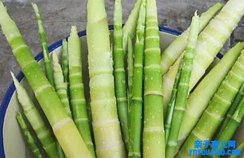 人体到底需要几多营养