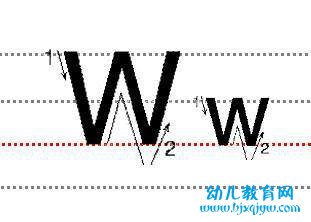 字母Ww的标准写法