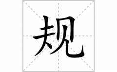 规的笔顺笔画怎么写(规的拼音、部首、解释及成语解读)
