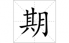 期的笔顺笔画怎么写(期的拼音、部首、解释及成语解读)