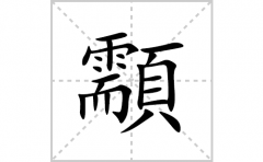 顬的笔顺笔画怎么写(顬的拼音、部首、解释及成语解读)