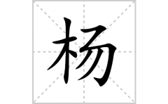杨的笔顺笔画怎么写(杨的拼音、部首、解释及成语解读)