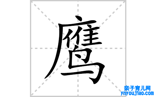鹰的笔顺笔画怎么写(鹰的拼音、部首、表明及成语解读)