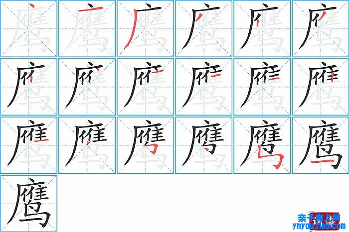 鹰的笔顺、笔画