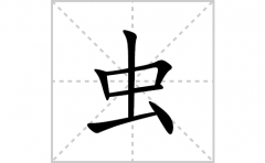 虫的笔顺笔画怎么写(虫的拼音、部首、解释及成语解读)