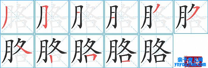 胳的笔顺、笔画