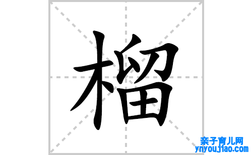 榴的笔顺笔画怎么写(榴的拼音、部首、表明及成语解读)