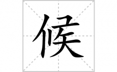 候的笔顺笔画怎么写(候的拼音、部首、解释及成语解读)