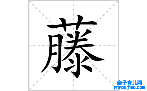 藤的笔顺笔画怎么写(藤的拼音、部首、表明及成语解读)